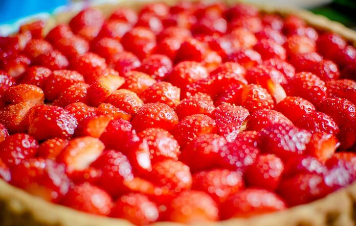 Des bots d’extrême-droite démasqués par une tarte aux fraises : l’incroyable révélation !