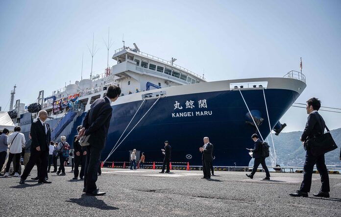 Un nouveau baleinier japonais menace les cétacés