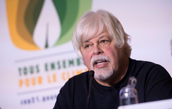 Arrestation de Paul Watson : Pourquoi le fondateur de Sea Shepherd ?