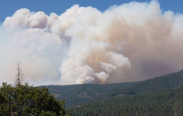 L’Ouest Américain en Flammes : Une Crise Majeure