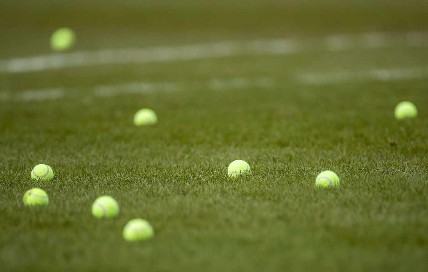 Supporteurs de Metz perturbent le match avec des balles de tennis