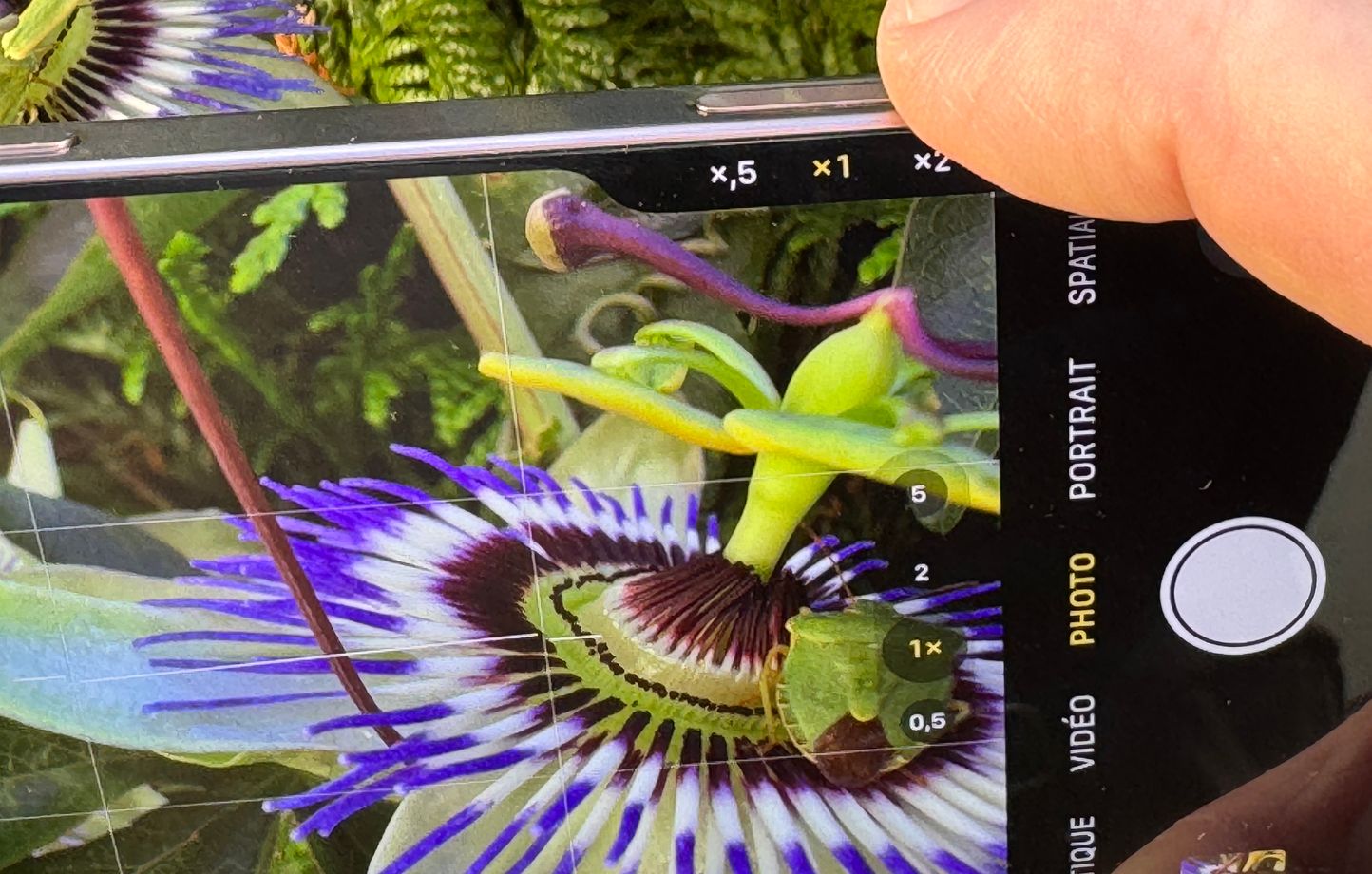 iPhone 16 : Découvrez le nouveau bouton Camera Control