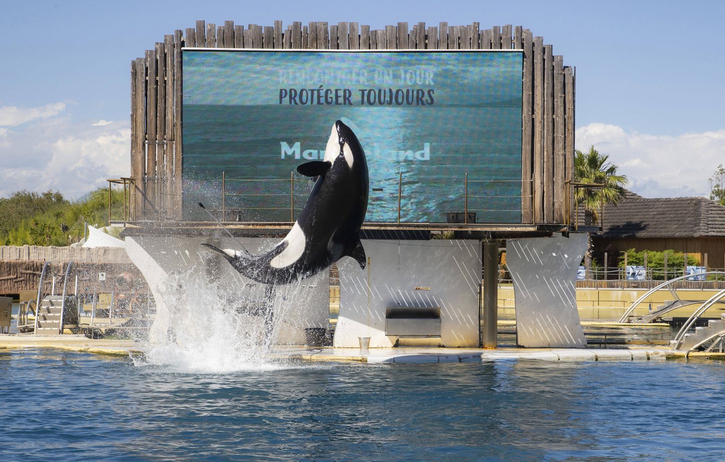 L’avenir des animaux de Marineland après sa fermeture