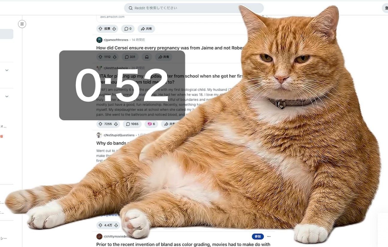 Cat Gatekeeper : le chat qui bloque le scroll infini