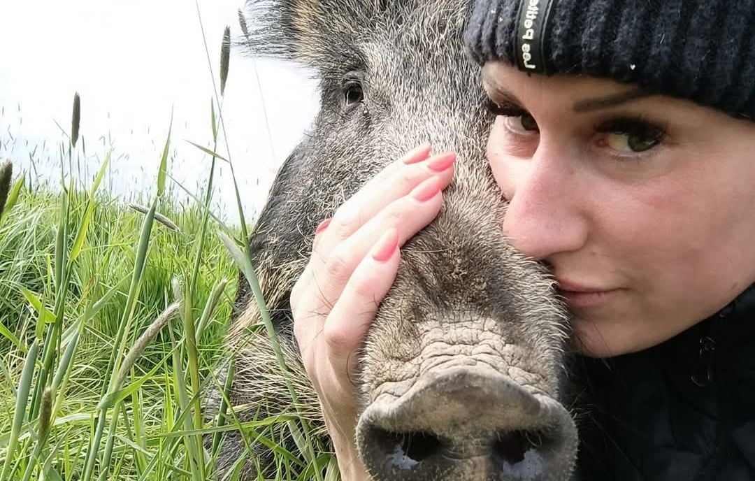 Elodie et son sanglier Rillette : fin d’un combat de 18 mois