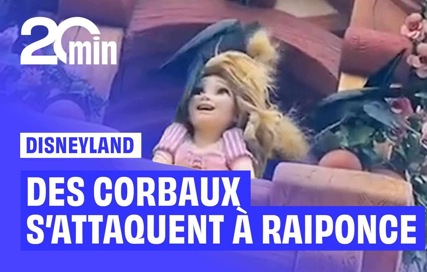 Tokyo Disney : des corbeaux arrachent les cheveux à Raiponce