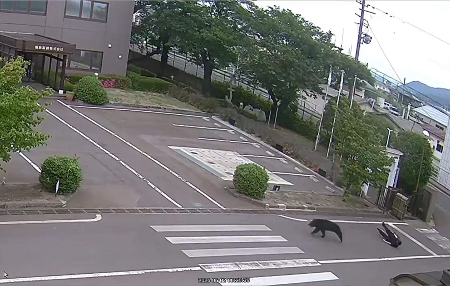 Japon : un ours rusé blesse 4 personnes et s’évade