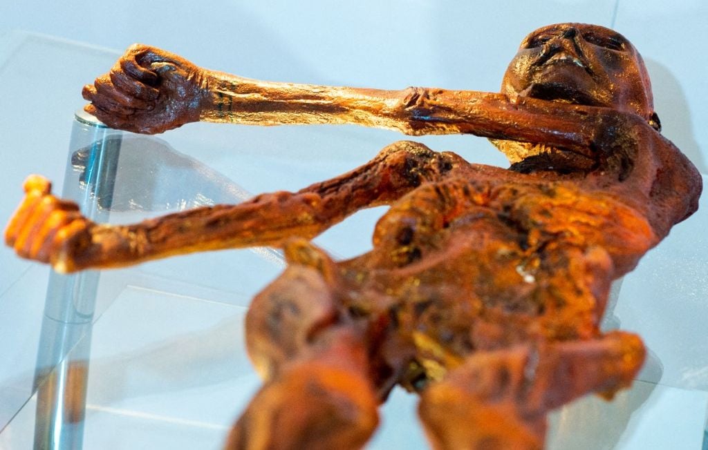 Ötzi : la levure de sa momie transformée en pain