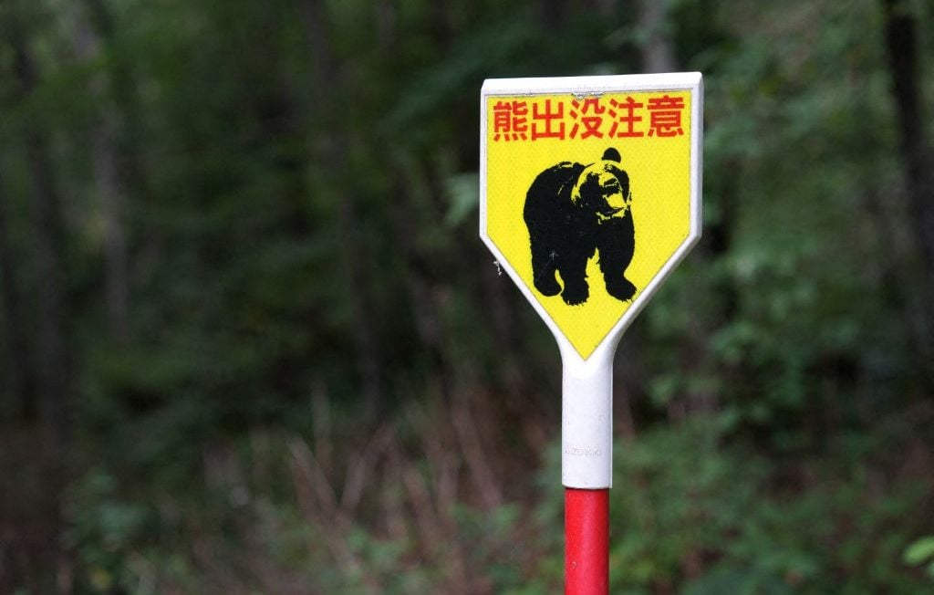 Japon : près de 100 écoles fermées à cause d’ours