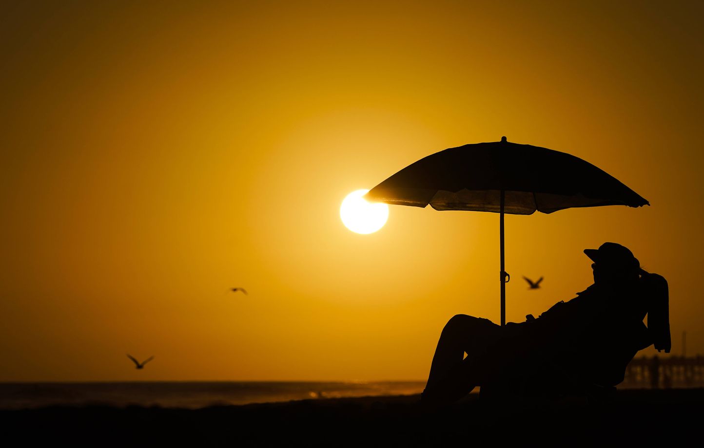 Quand les Danois rêvent d’échanger le Groenland pour la Californie