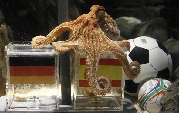Coupe du monde : 100 000 simulations sacrent l’Espagne