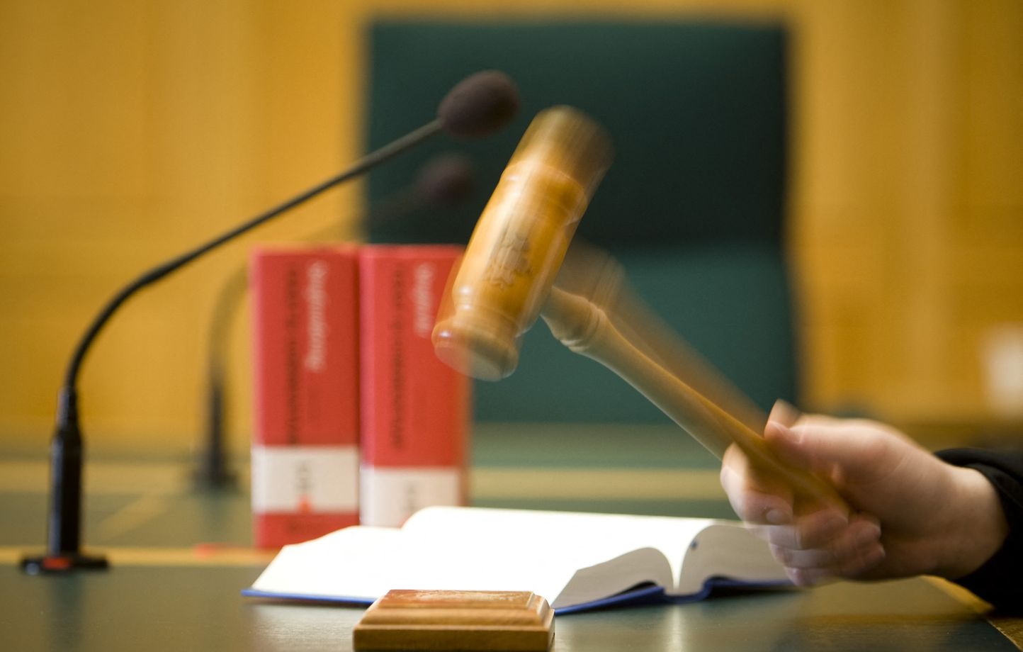 Ballottée entre foyers, elle est adoptée par sa maîtresse