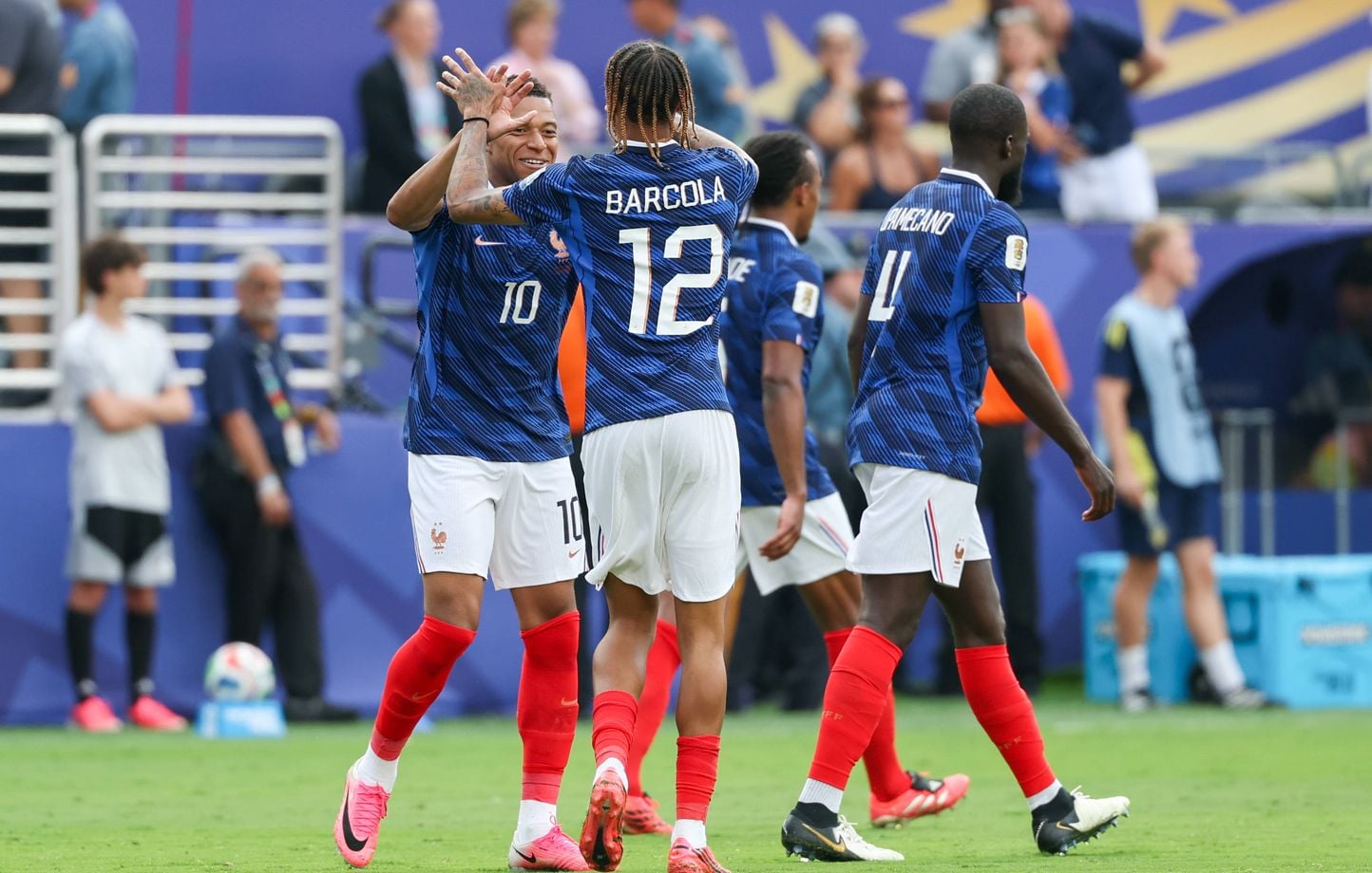 Mondial 2026 : ces animaux prédisent les matchs des Bleus