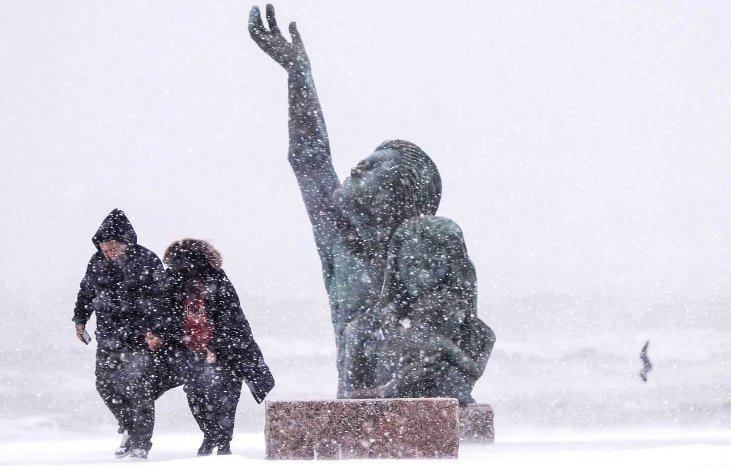 Survivre au froid extrême : réactions et limites du corps