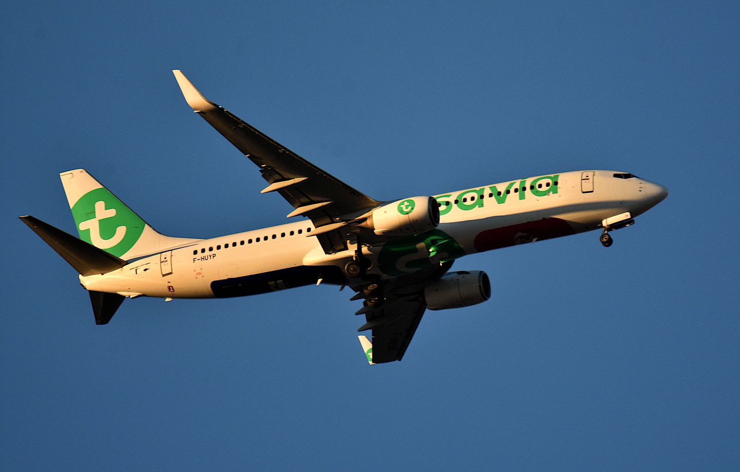 Transavia impose un supplément sur les vols dès mars 2025