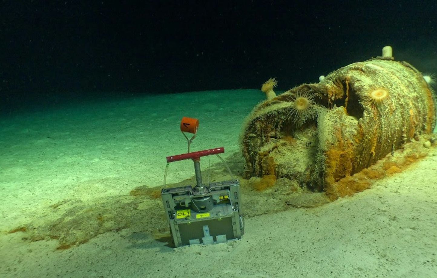 Déchets radioactifs dans l’Atlantique : l’alerte des abysses
