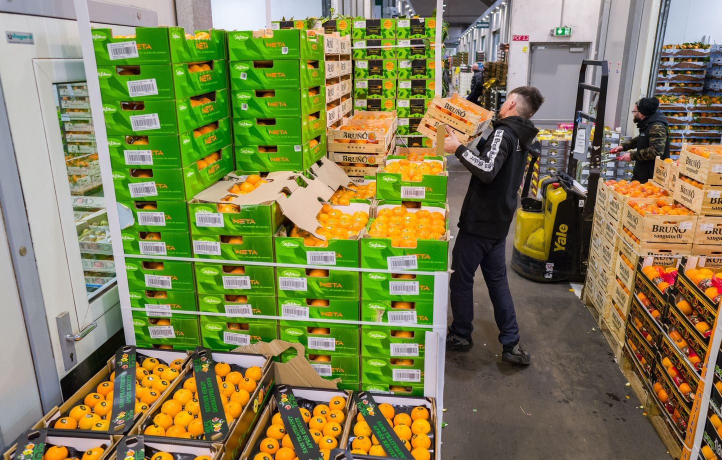 Prix des légumes : pourquoi ils flambent en 2026