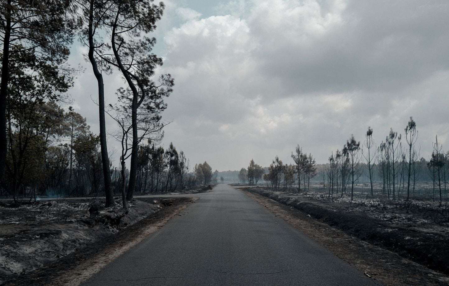 Incendies en Gironde : la rumeur photovoltaïque démontée