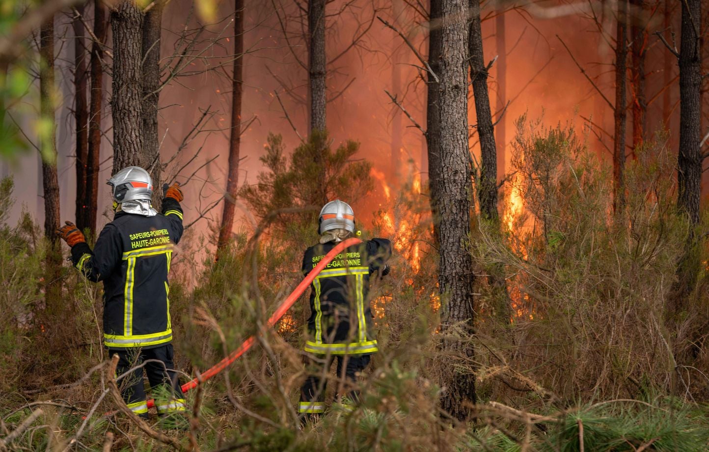Incendies : Engie débloque 25 M€ pour reboiser