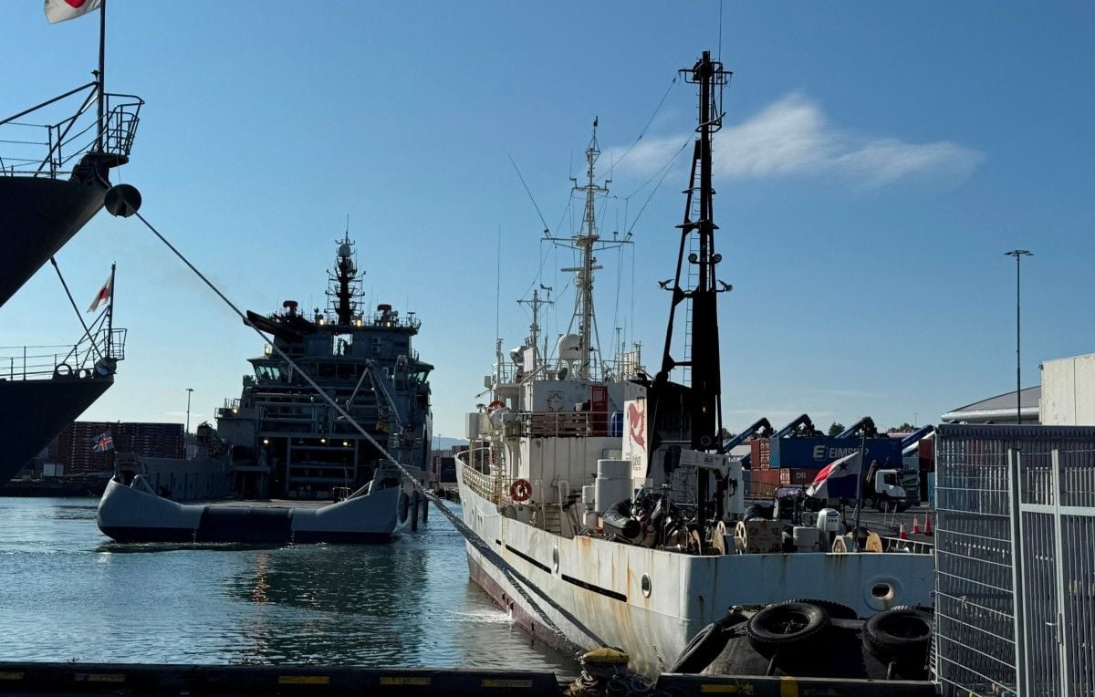 6a6e5e64b0d91.jpg Islande : 3 Français anti-baleine menacés d’expulsion