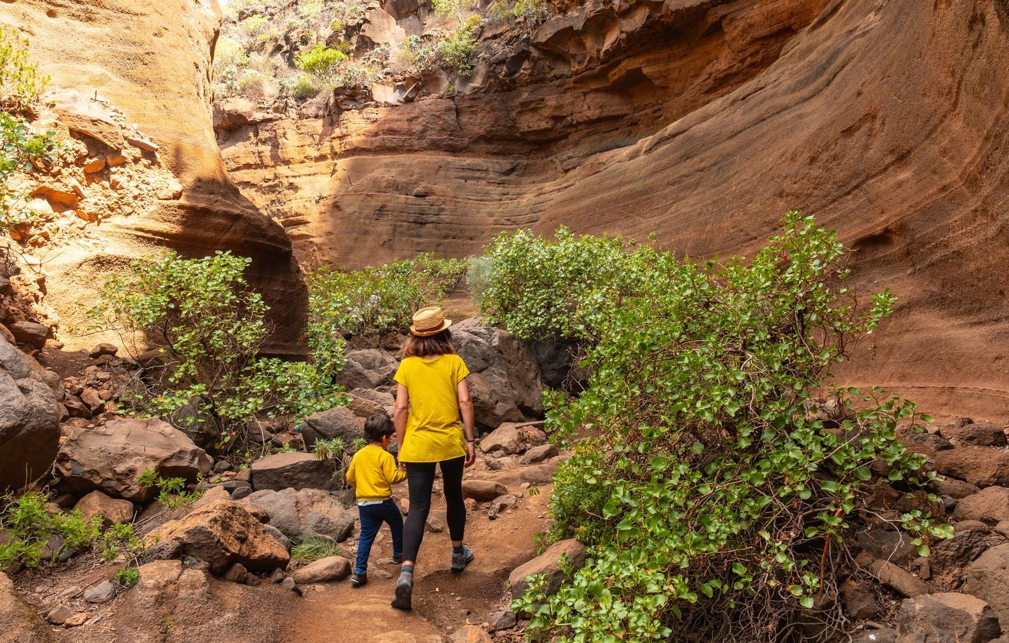 Ivres, ils font marcher leurs enfants des heures par 42 °C