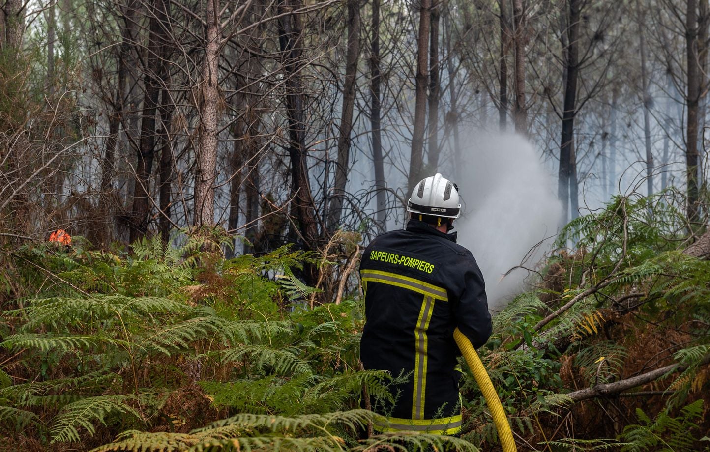 Feux de forêt : l’IA FireWatch accélère l’alerte
