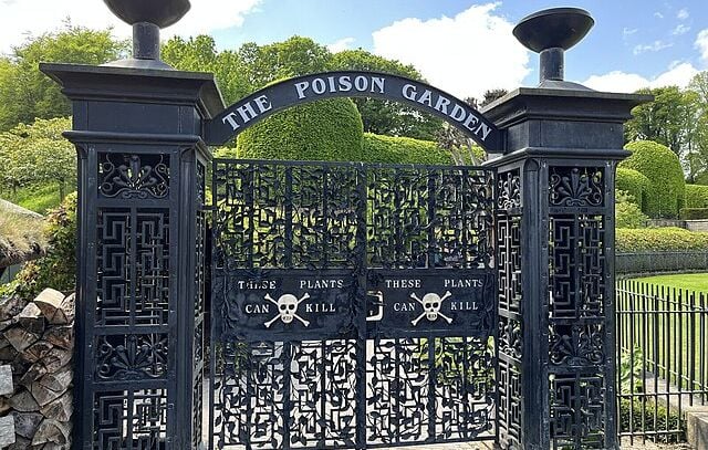 Le jardin des poisons : un monde végétal entre soin et mort