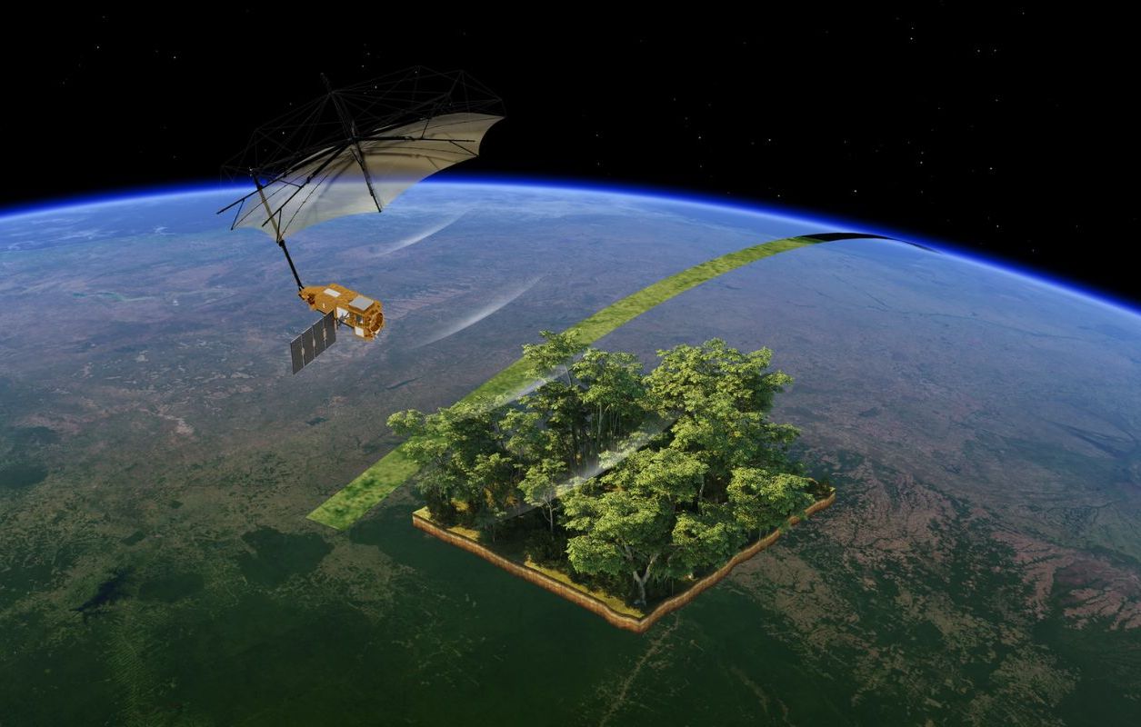 Biomass : Un satellite révolutionnaire pour sauver les forêts
