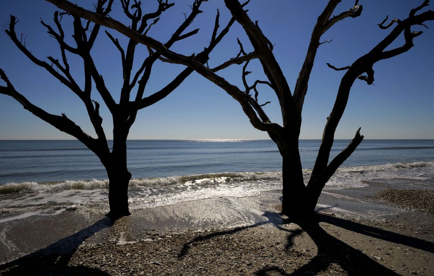 Découverte d’ossements humains sur une plage historique
