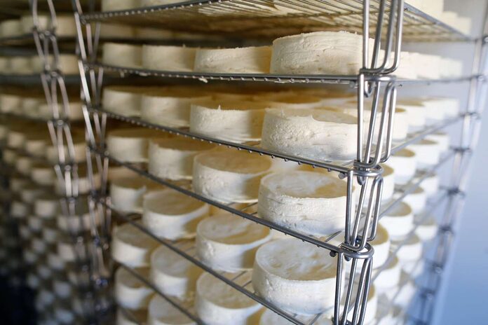Bactérie « E.coli » : les autorités sanitaires rappellent divers fromages au lait cru après plusieurs contaminations
