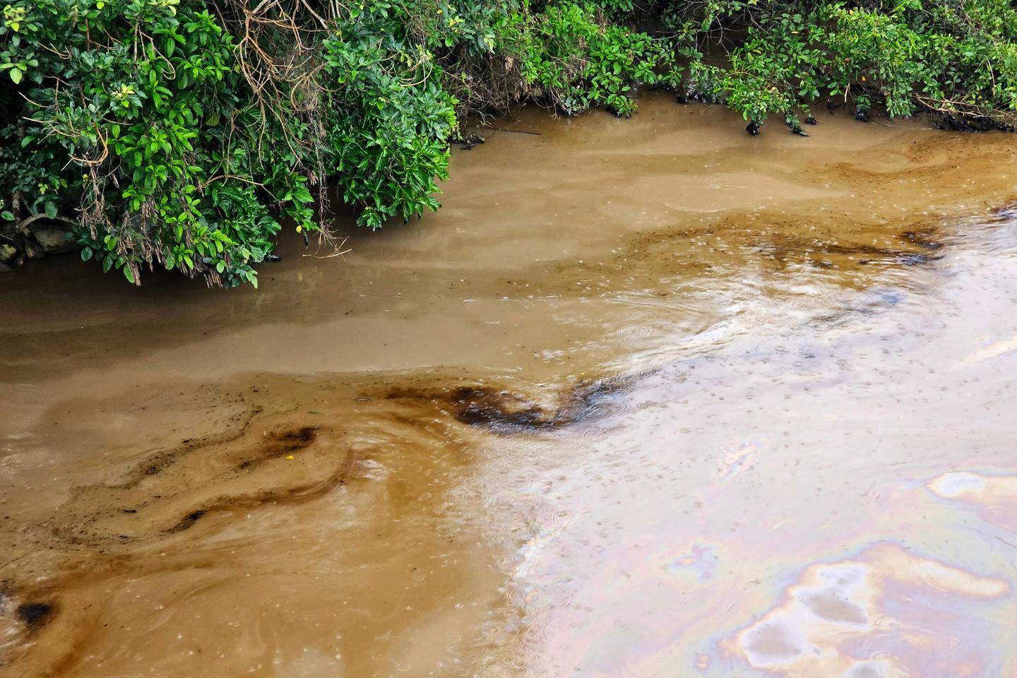 Dans le nord-ouest de l’Equateur, la rupture d’un oléoduc entraîne une pollution « sans précédent » des rivières