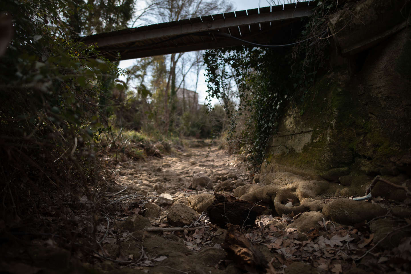 Dans la vallée de l’Huveaune, « le débit du fleuve n’a été jamais été aussi bas en février depuis qu’on le mesure »