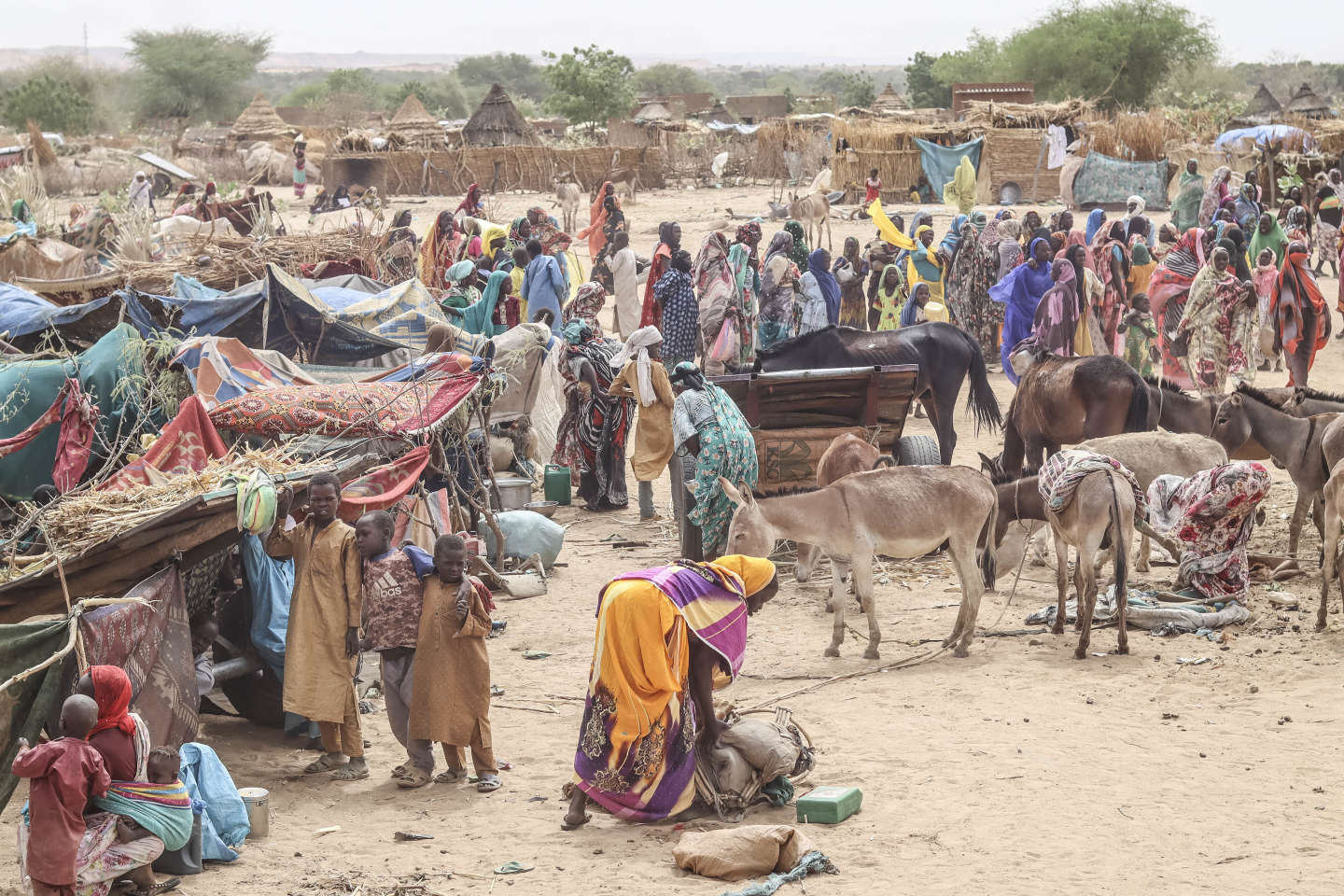 Au Tchad, plus de 20 000 réfugiés soudanais en grand péril dans le camp de Koufroun