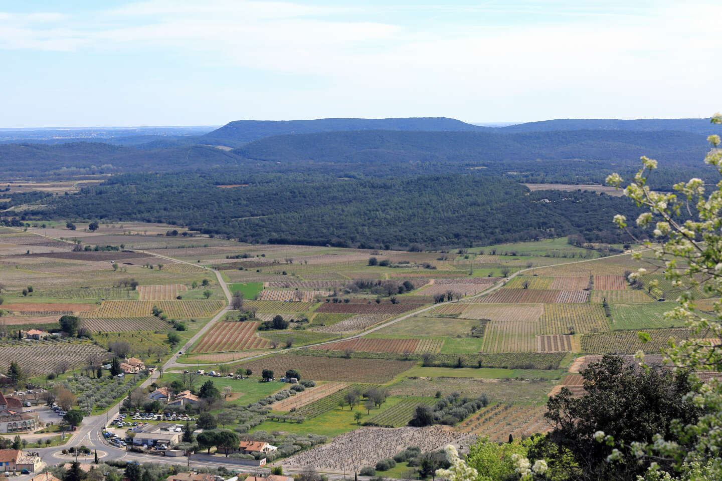 Dans le Gard, la crise viticole « aura des conséquences sur nos paysages et notre économie »