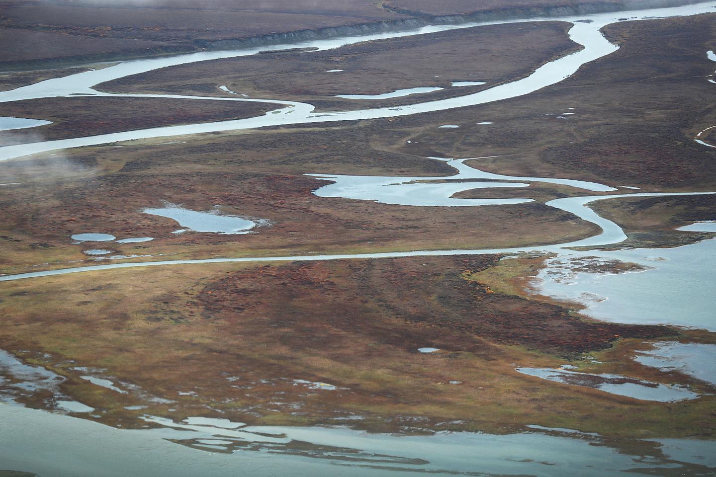 La toundra arctique émet désormais plus de CO₂ qu’elle n’en absorbe