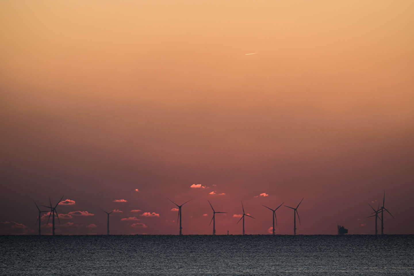 L’éolien en mer, « secteur entier à construire », veut se faire une notoriété auprès des jeunes diplômés