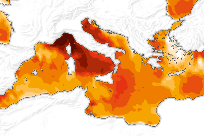 Avec 30,8 °C au large de la Corse et 29,4 °C à Villefranche, la température de la Méditerranée atteint des niveaux records