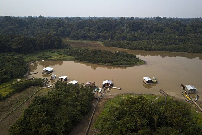 La déforestation dans l’Amazonie brésilienne réduite de moitié en 2023