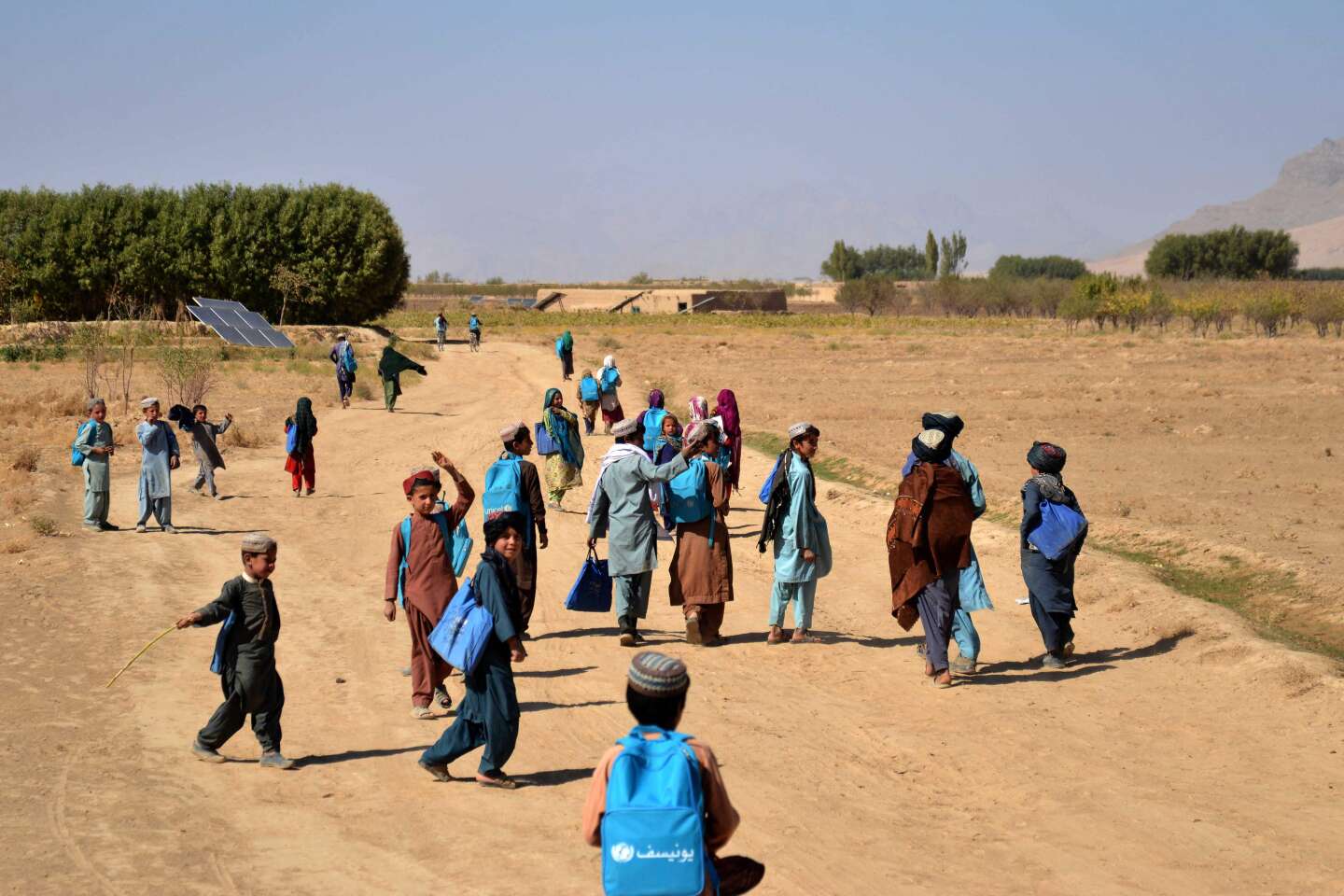 En Afghanistan, les talibans utilisent des ONG pour contourner les sanctions