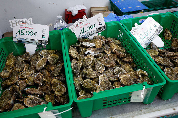 Interdiction des huîtres du bassin d’Arcachon : la vente de coquillage de nouveau autorisée par la préfecture de Gironde