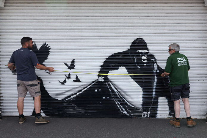 Banksy dévoile au zoo de Londres un nouveau graffiti dépeignant un gorille libérant d’autres bêtes captives