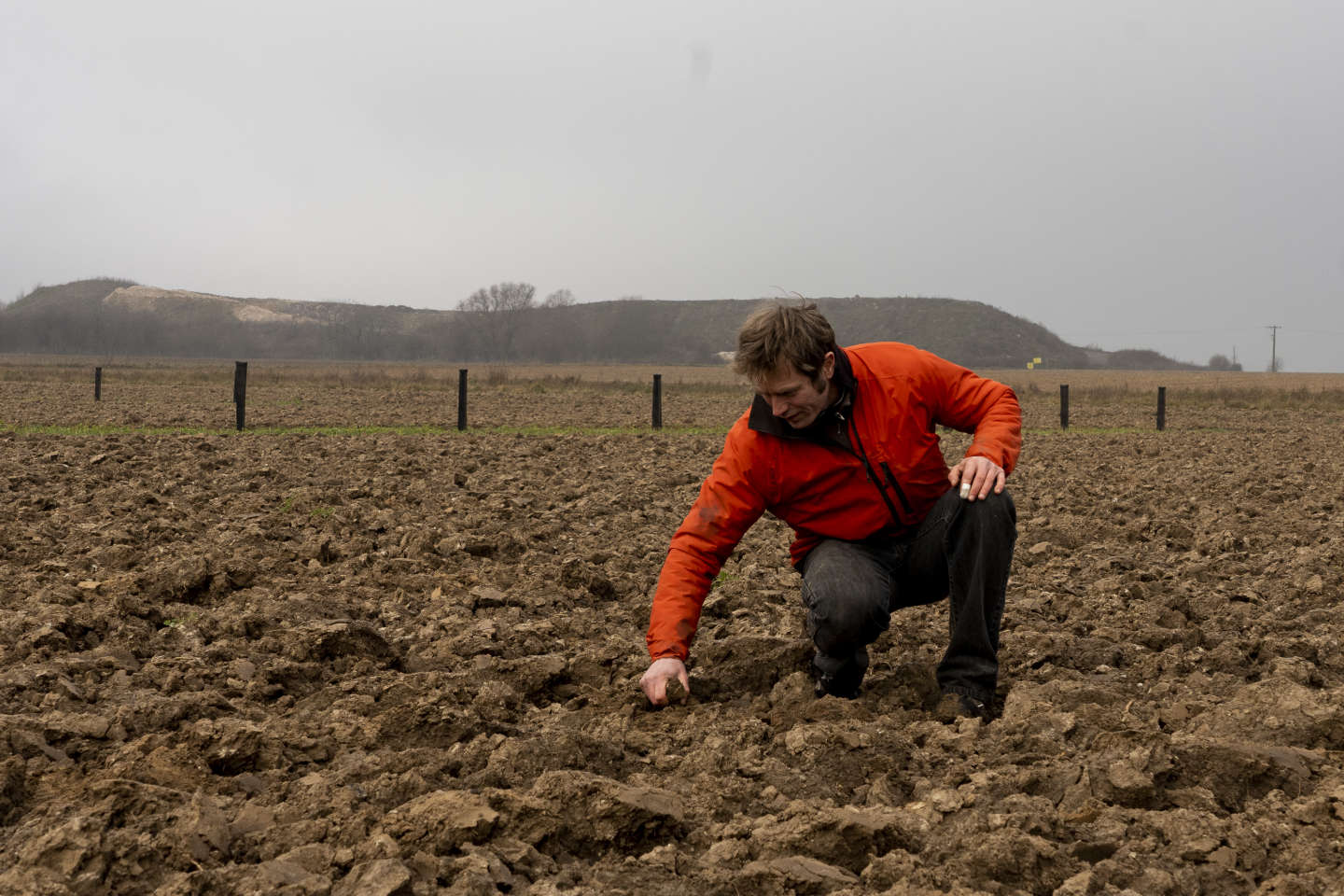 Après l’interdiction des néonicotinoïdes, les cultivateurs de betteraves du Pas-de-Calais tiraillés entre le bio et l’agriculture conventionnelle