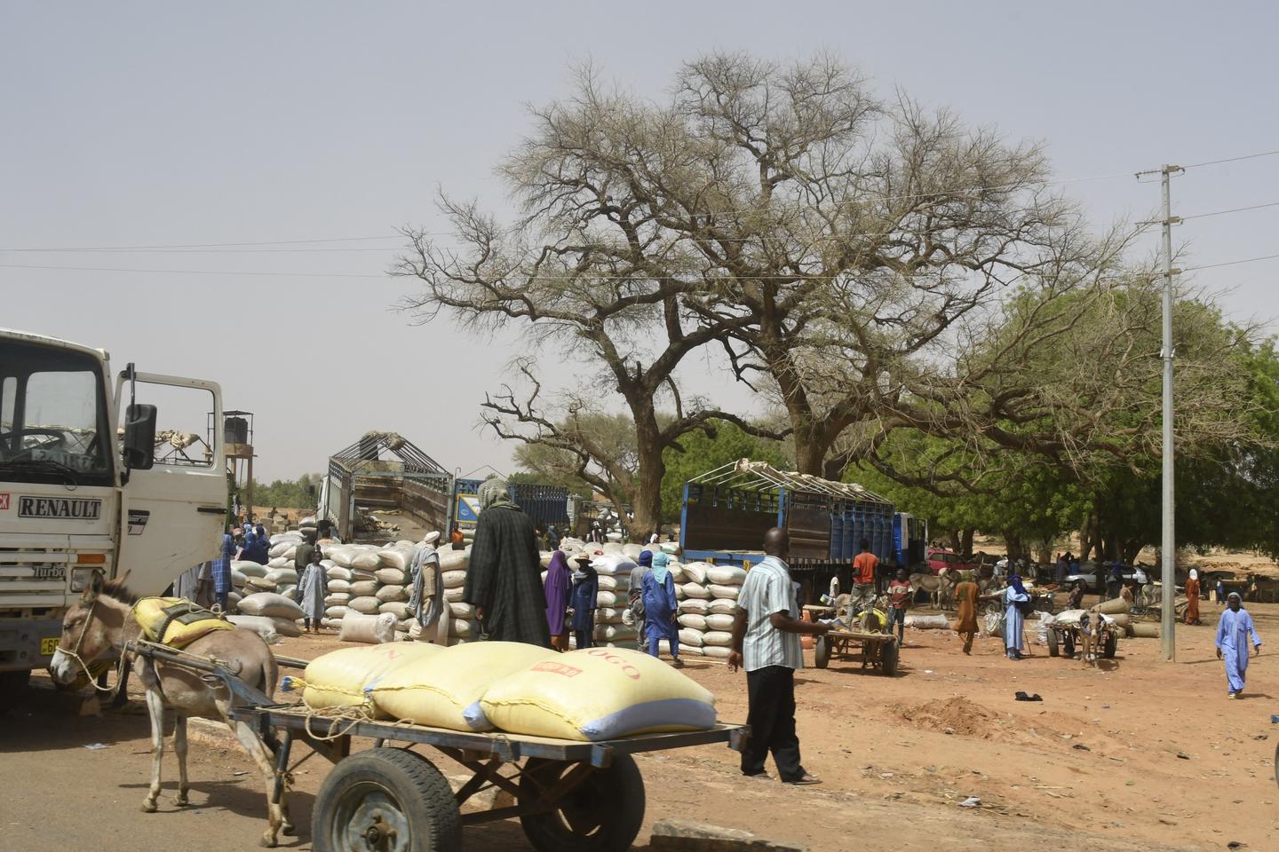 Niger : 21 civils tués dans l’attaque d’un convoi de marchandises à Téra, dans l’ouest du pays