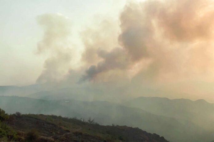 En Algérie, des familles évacuées à l’approche de feux de forêt