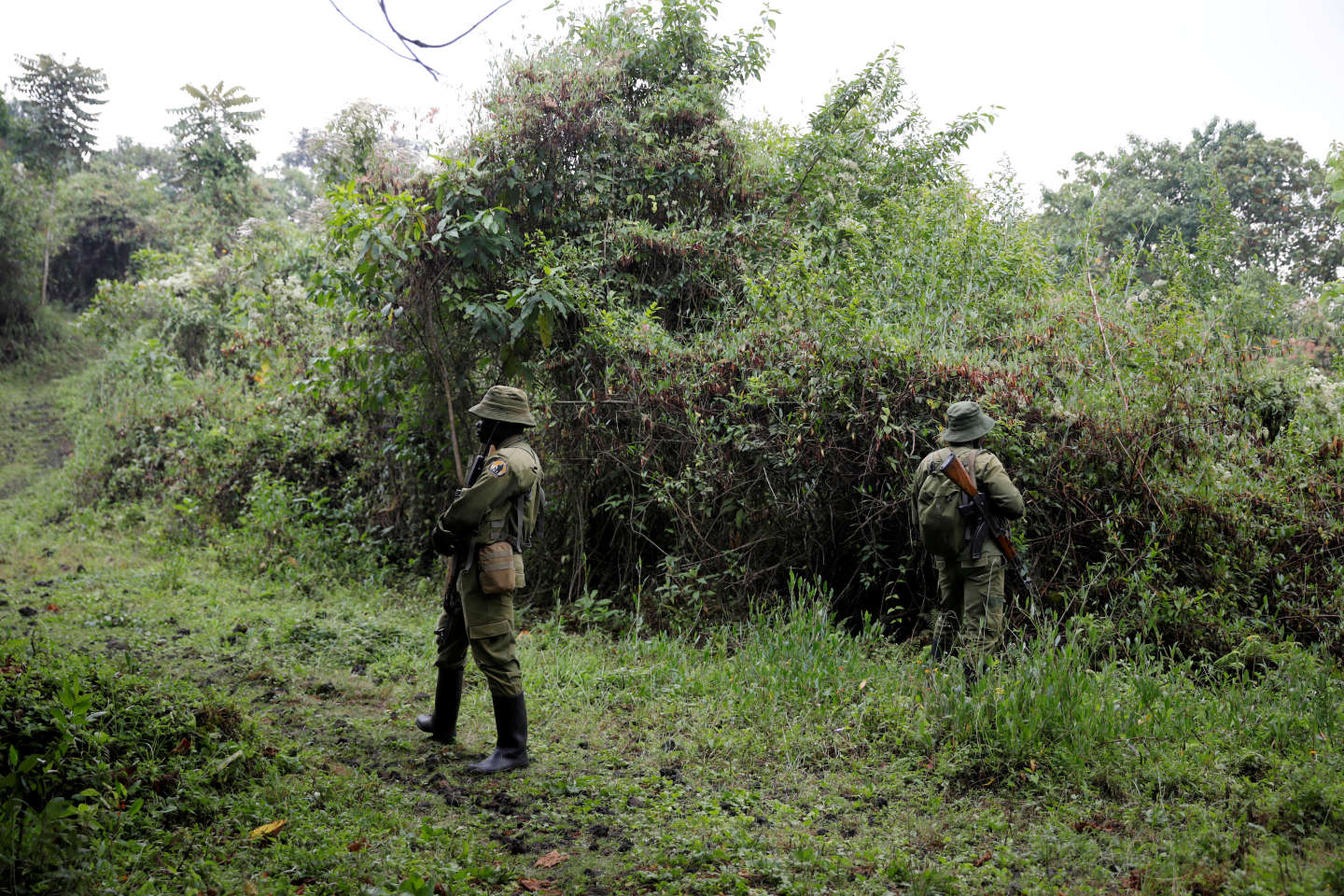 RDC : deux écogardes tués dimanche dans une nouvelle attaque contre le parc national des Virunga